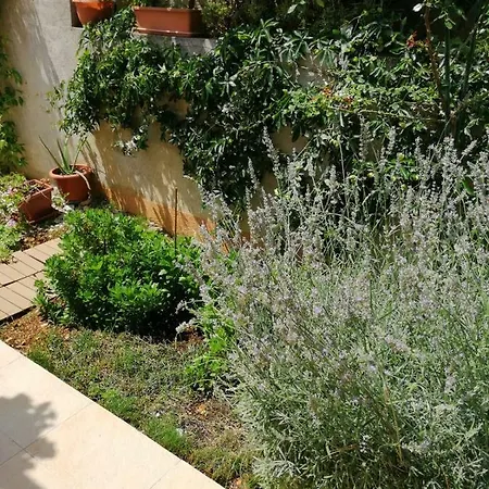 Elixir Apartman